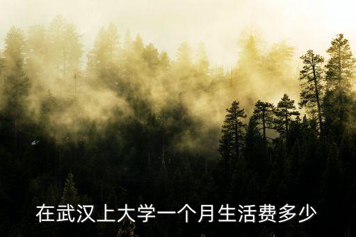 在武漢上大學(xué)一個月生活費多少