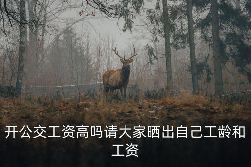 武漢公交司機工資怎么算,公交司機工資會提高嗎