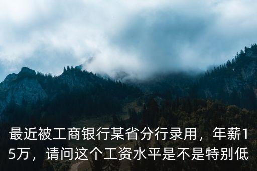 最近被工商銀行某省分行錄用，年薪15萬，請問這個工資水平是不是特別低