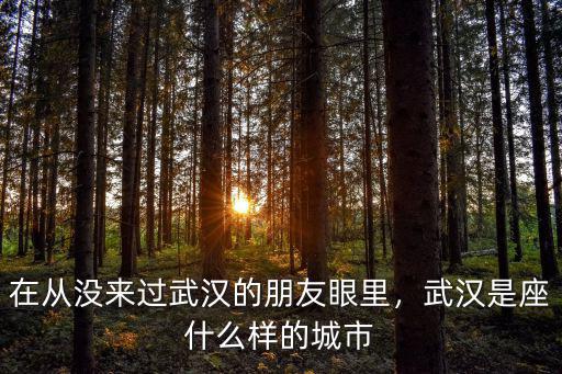 在從沒來過武漢的朋友眼里，武漢是座什么樣的城市