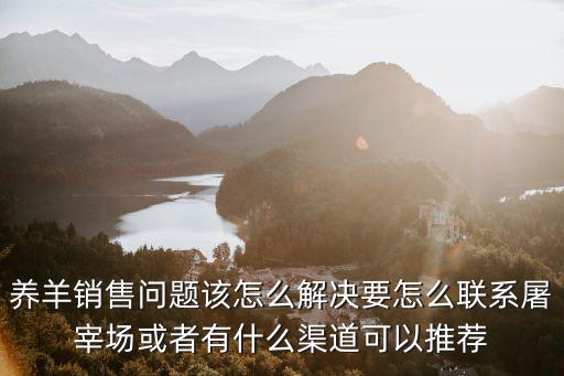 湖北羊肉屠宰場怎么聯(lián)系,要怎么聯(lián)系屠宰場