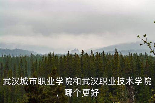 武漢城市職業學院和武漢職業技術學院，哪個更好