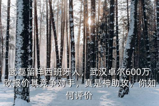 武磊留洋西班牙人，武漢卓爾600萬歐報價其競爭對手，真是神助攻，你如何評價