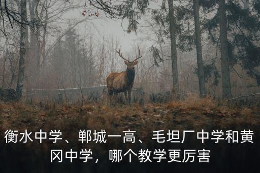 衡水中學、鄲城一高、毛坦廠中學和黃岡中學，哪個教學更厲害
