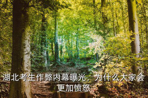 湖北考生作弊內幕曝光，為什么大家會更加憤怒