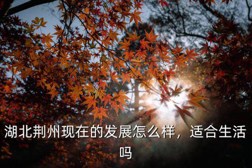 湖北荊州現在的發展怎么樣，適合生活嗎