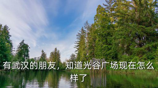 有武漢的朋友，知道光谷廣場現在怎么樣了