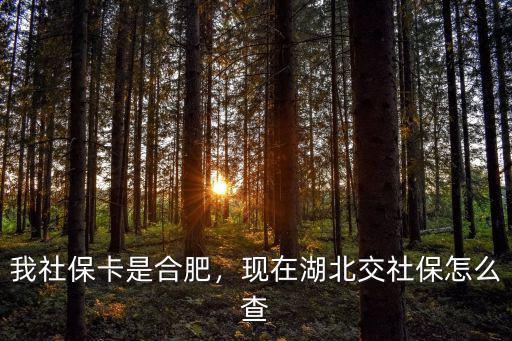 我社保卡是合肥，現在湖北交社保怎么查