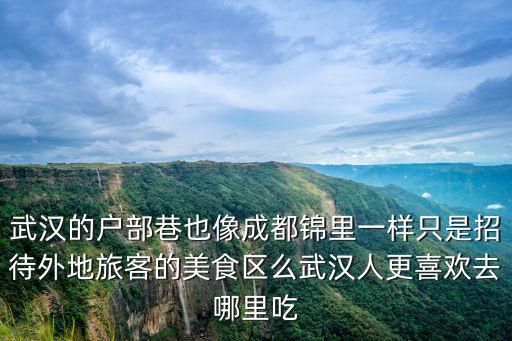 武漢的戶部巷也像成都錦里一樣只是招待外地旅客的美食區么武漢人更喜歡去哪里吃
