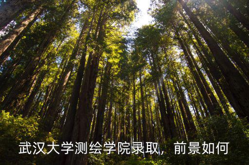 武漢大學(xué)測(cè)繪院怎么樣,武漢大學(xué)測(cè)繪學(xué)院錄取