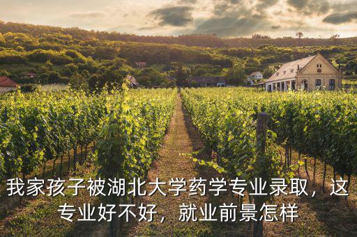 我家孩子被湖北大學藥學專業錄取，這專業好不好，就業前景怎樣
