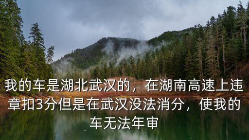 我的車是湖北武漢的，在湖南高速上違章扣3分但是在武漢沒法消分，使我的車無法年審