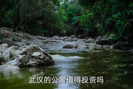 武漢的公寓值得投資嗎