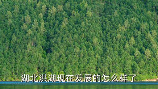 湖北洪湖現在發(fā)展的怎么樣了
