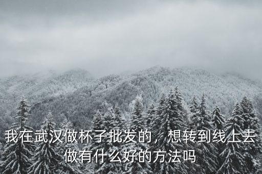 怎么在武漢做杯子批發,我在武漢做杯子批發的