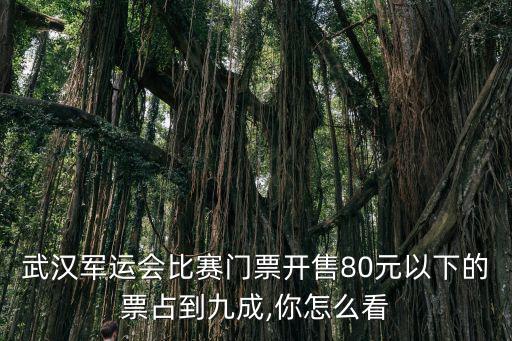 武漢軍運會比賽門票開售80元以下的票占到九成,你怎么看