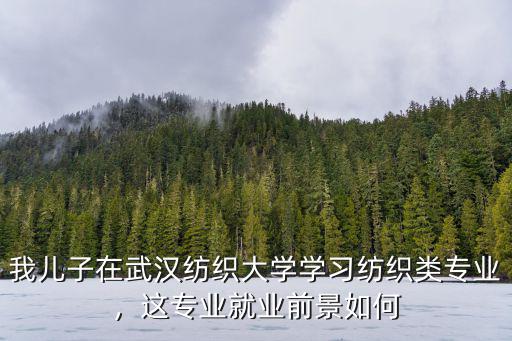 武漢紡織大學(xué)電氣化專業(yè)怎么樣,報考武漢紡織大學(xué)怎么樣