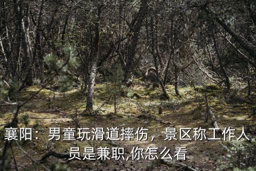 襄陽：男童玩滑道摔傷，景區(qū)稱工作人員是兼職,你怎么看