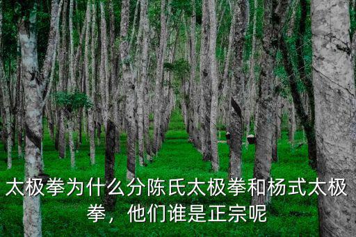 太極拳為什么分陳氏太極拳和楊式太極拳，他們誰(shuí)是正宗呢