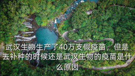武漢生物生產(chǎn)了40萬支假疫苗，但是去補種的時候還是武漢生物的疫苗是什么原因