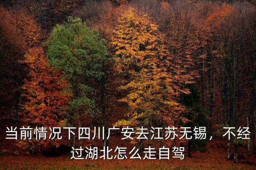 當前情況下四川廣安去江蘇無錫，不經(jīng)過湖北怎么走自駕