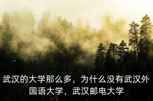 怎么能進(jìn)武漢實(shí)驗(yàn)外國(guó)語(yǔ)學(xué)校,武漢崇文外國(guó)語(yǔ)學(xué)校怎么樣