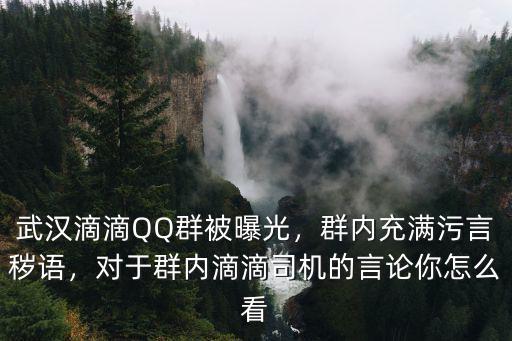武漢滴滴QQ群被曝光，群內充滿污言穢語，對于群內滴滴司機的言論你怎么看