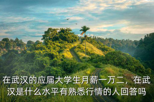 在武漢的應(yīng)屆大學(xué)生月薪一萬二，在武漢是什么水平有熟悉行情的人回答嗎