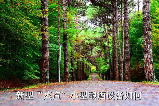 新型“蒸汽”小型釀酒設(shè)備如何