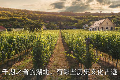 湖北萬羽文化怎么樣,湖北長江大學怎么樣