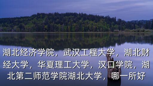 湖北經濟學院，武漢工程大學，湖北財經大學，華夏理工大學，漢口學院，湖北第二師范學院湖北大學，哪一所好