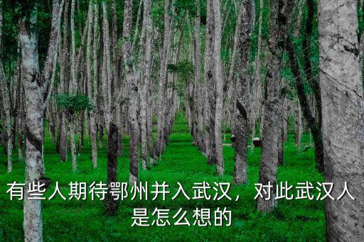 有些人期待鄂州并入武漢，對此武漢人是怎么想的