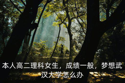 本人高二理科女生，成績一般，夢想武漢大學(xué)怎么辦