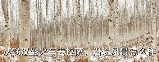 從武漢坐火車去拉薩，沿途風景怎么樣