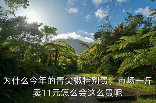 為什么今年的青尖椒特別貴，市場一斤賣11元怎么會這么貴呢