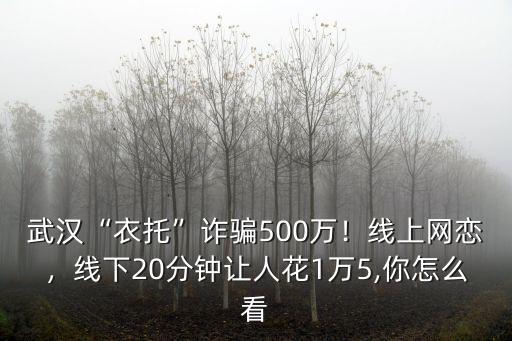 武漢“衣托”詐騙500萬！線上網(wǎng)戀，線下20分鐘讓人花1萬5,你怎么看