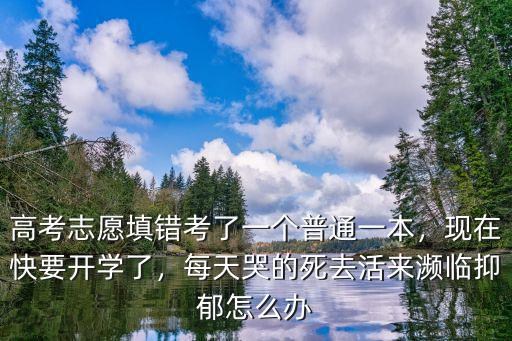 高考志愿填錯考了一個普通一本，現(xiàn)在快要開學(xué)了，每天哭的死去活來瀕臨抑郁怎么辦