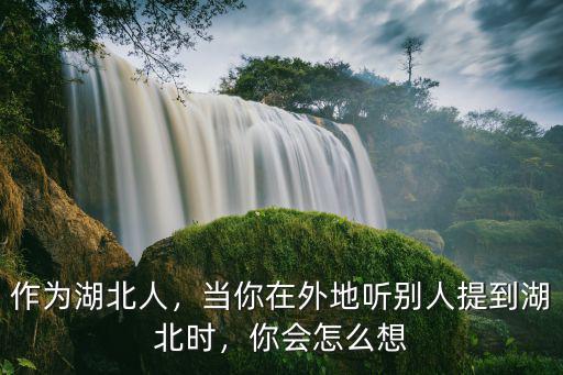 湖北人在外面怎么過的,湖北人在你印象里怎樣的