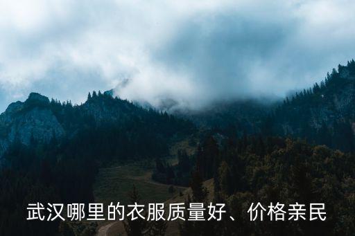 武漢橫店的環境怎么樣,武漢黃陂區的發展趨勢怎么樣