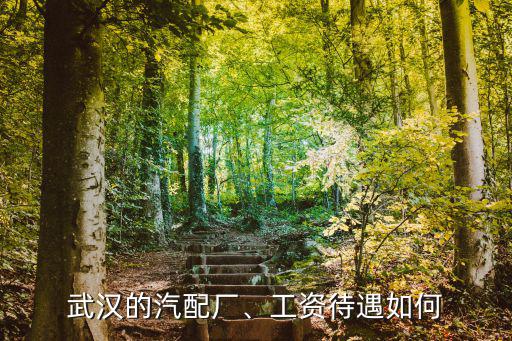 武漢的汽配廠、工資待遇如何
