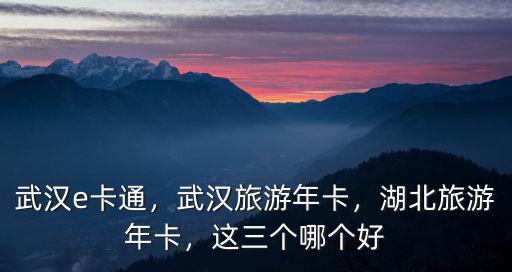 小孩怎么辦武漢旅游年卡,武漢旅游年卡