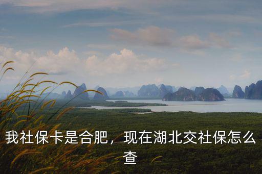 湖北的社保怎么異地備案,現在湖北交社保怎么查