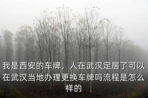 我是西安的車牌，人在武漢定居了可以在武漢當地辦理更換車牌嗎流程是怎么樣的