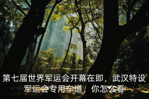 第七屆世界軍運會開幕在即，武漢特設軍運會專用車道，你怎么看