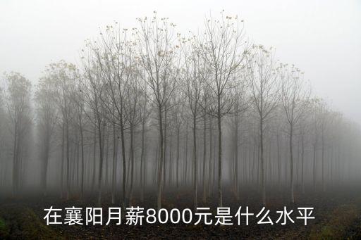 在襄陽月薪8000元是什么水平