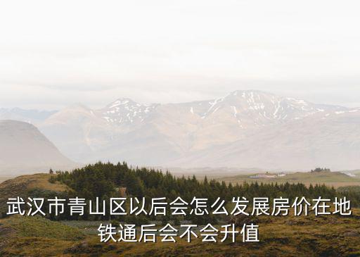 武漢市青山區17小怎么樣,武漢青山區的房子怎么樣
