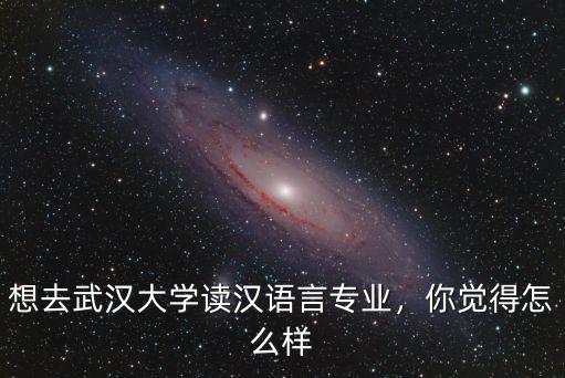 想去武漢大學讀漢語言專業，你覺得怎么樣