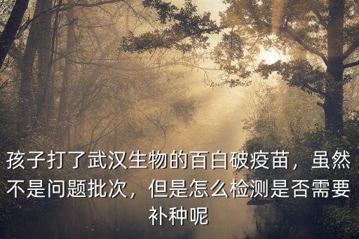 孩子打了武漢生物的百白破疫苗，雖然不是問題批次，但是怎么檢測是否需要補種呢