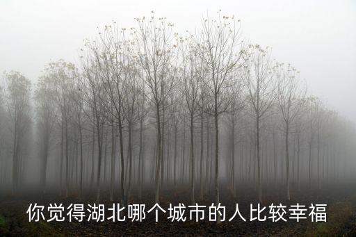 你覺得湖北哪個城市的人比較幸福