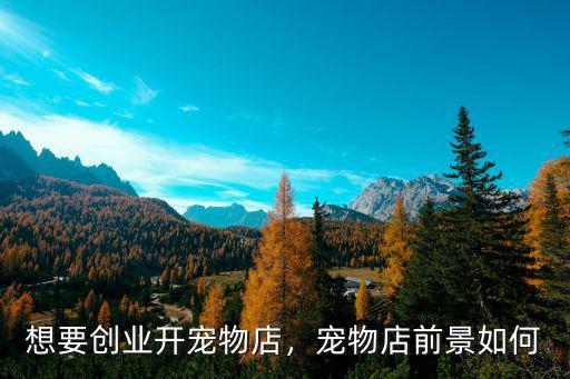 想要創業開寵物店，寵物店前景如何